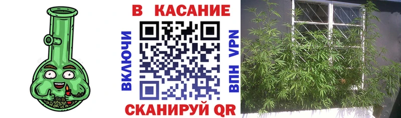 Вейп ТГК Заводоуковск