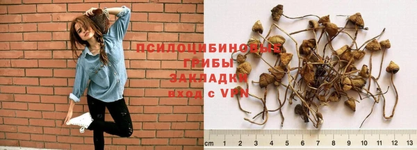 круглые Заводоуковск