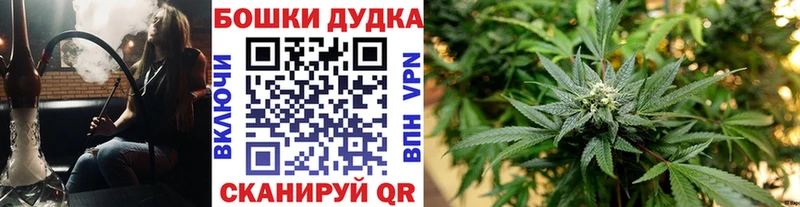Купить закладки  Заводоуковск  Каннабис MAZAR 